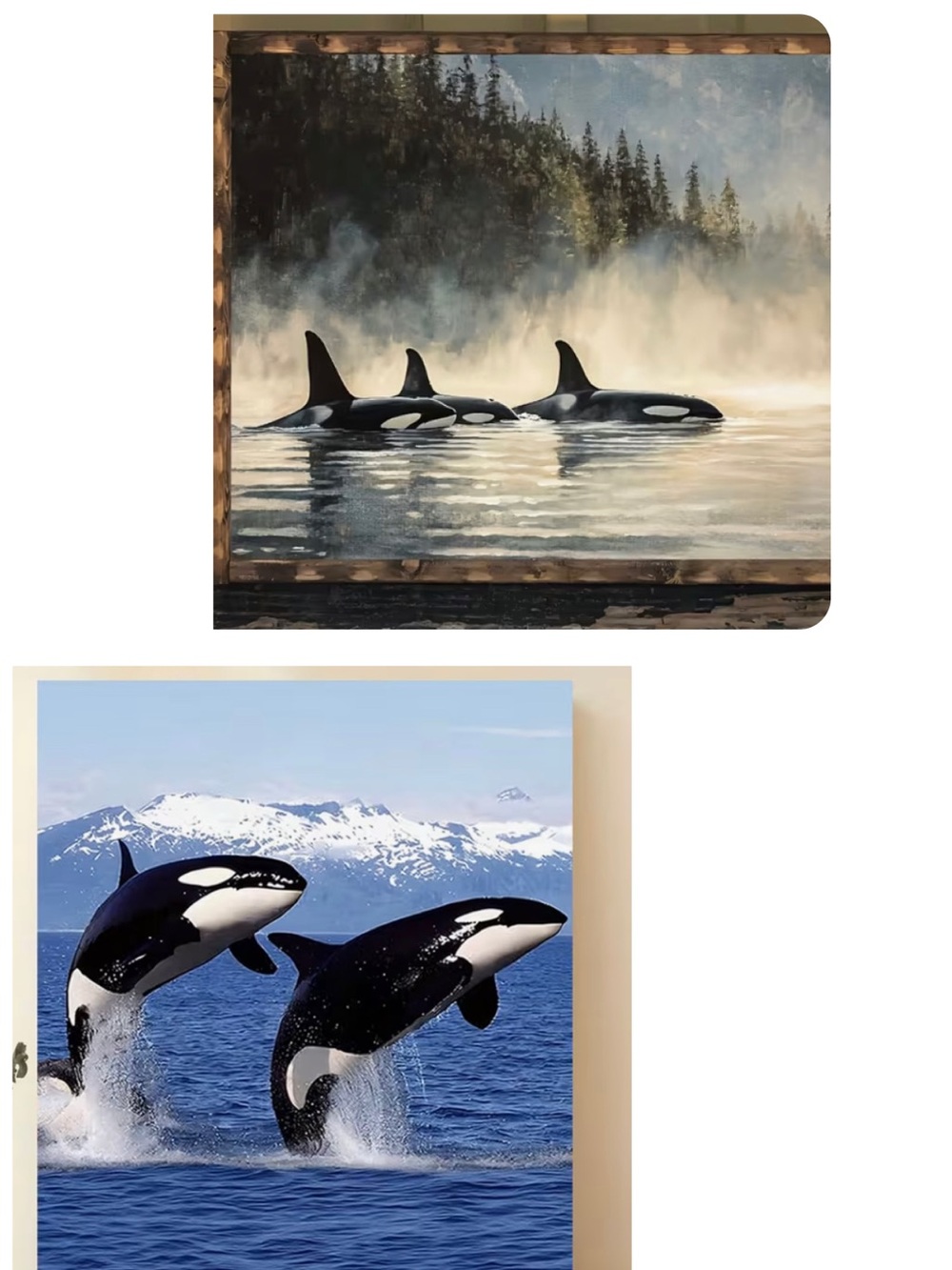 Orca Whale Wall Art Print - Black and White